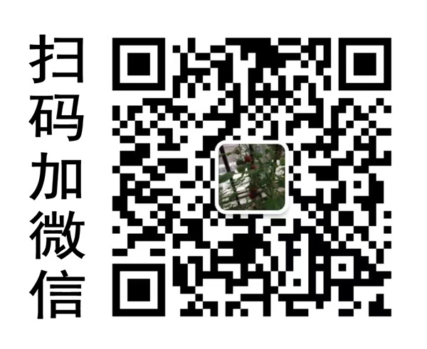 微信公眾號(hào)